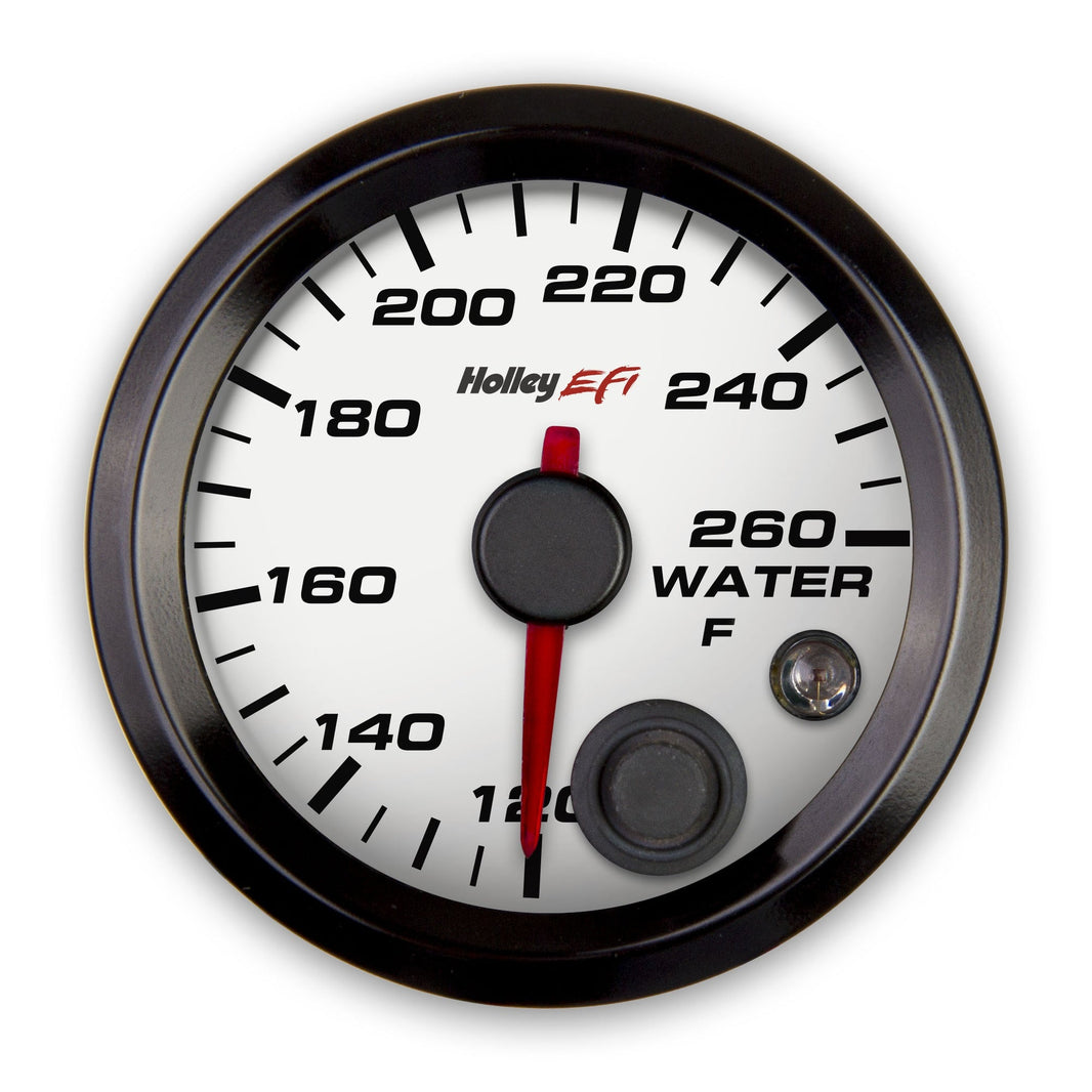 Holley EFI Coolant Temp Gauge - Standard 2-1/16" size - 120°-260° - White Face - Black Bezel