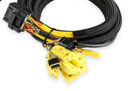 Kit EGT 8 canaux - Holley EFI Kit EGT CAN 8 canaux