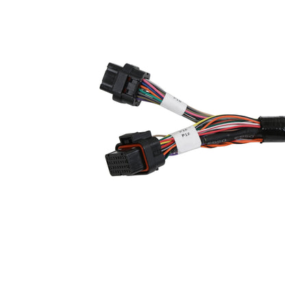 Faisceau principal TPI/STEALTHRAM - Faisceau principal TPI/Stealth Ram