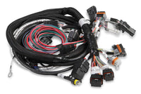 HEMI MAIN HARNESS, LATE, W/ TPS & IAC - Gen III HEMI Main Harness Late w/ TPS and Idle Air Control Connections