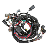 MAIN HARNESS, 99-04 FORD MODULAR - Ford 2V and 4V Modular Main Harness