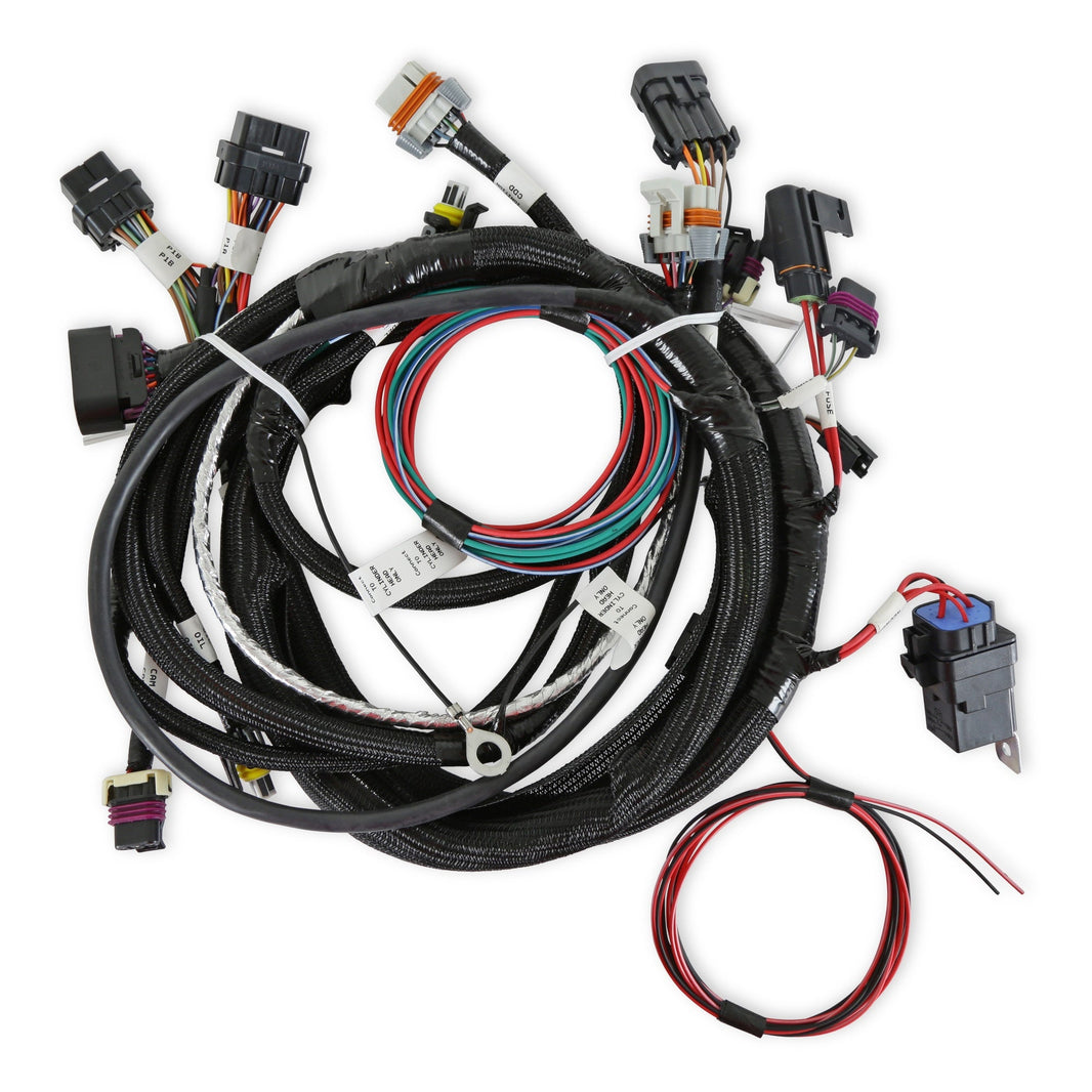 Faisceau principal, Terminator TBI, LSX, 24X - Faisceau moteur principal pour 24x LS avec injection TBI