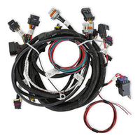 MAIN HARNESS, TERMINATOR TBI, LSX, 24X - Main Engine Harness for 24x LS w/ TBI