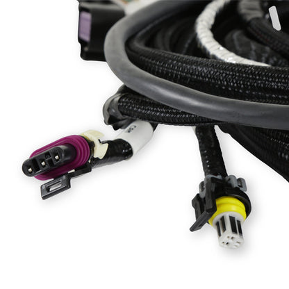 HOVEDLEDNINGSLEDNING, TERMINATOR TBI, LSX, 24X - Hovedmotorledningsnet til 24x LS med TBI