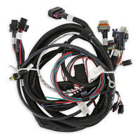 MAIN HARNESS, TERMINATOR TBI, LSX, 58X - Main Engine Harness for 58x LS w/ TBI
