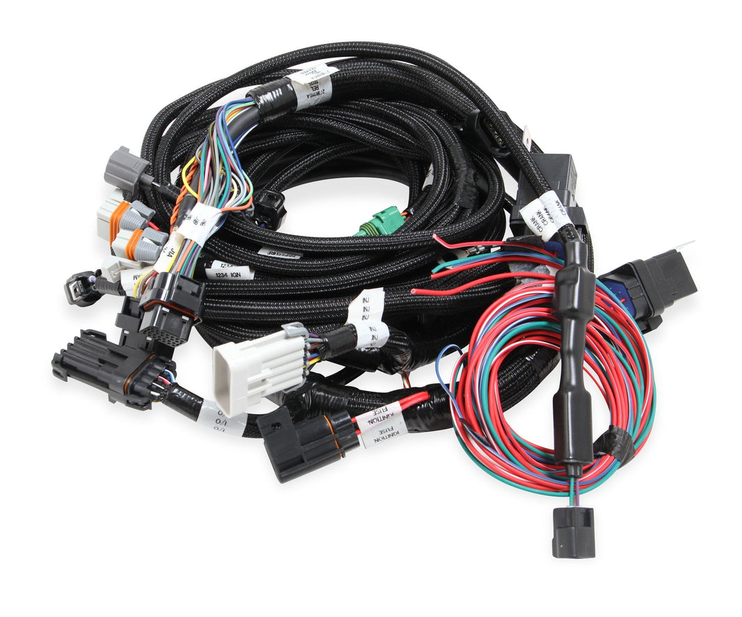Faisceau principal, Ford Modular 99-04, avec connecteur SMA - Faisceau principal Ford Modular 2V et 4V pour bobines d'allumage Holley Smart Coils