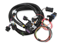 2X4 TERMINATOR STEALTH MAIN HARNESS - Terminator Stealth 2x4 Main Harness