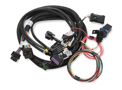 Holley EFI Terminator Stealth 2x4 Main Harness