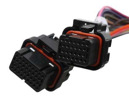 Holley EFI Terminator Stealth 2x4 Main Harness