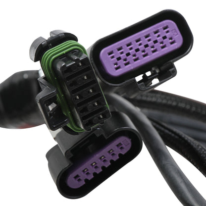 Holley EFI Terminator Stealth 2x4 Main Harness