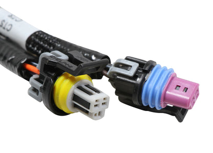 Holley EFI Terminator Stealth 2x4 Main Harness