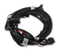 SUB HARNESS, FORD COYOTE TI-VCT - Holley EFI Ford Coyote Ti-VCT Sub Harness (2011-2012)