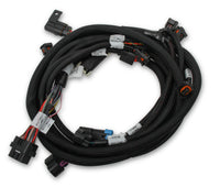 SUB HARNESS, FORD COYOTE TI-VCT - Holley EFI Ford Coyote Ti-VCT Sub Harness (2013-2017)