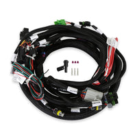 FORD FOXBODY 5.0L MAIN HARNESS - Holley EFI Ford Foxbody Main Harness