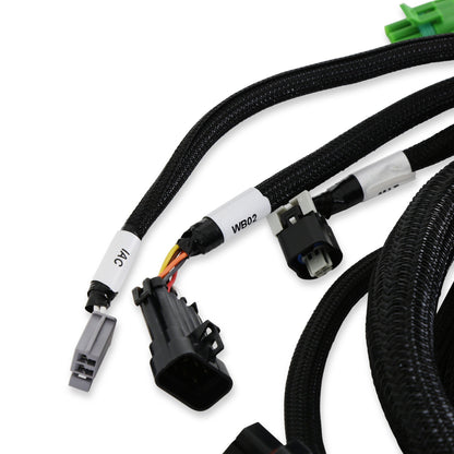 FORD FOXBODY 5.0L HOVEDLEDNING - Holley EFI Ford Foxbody Hovedledning