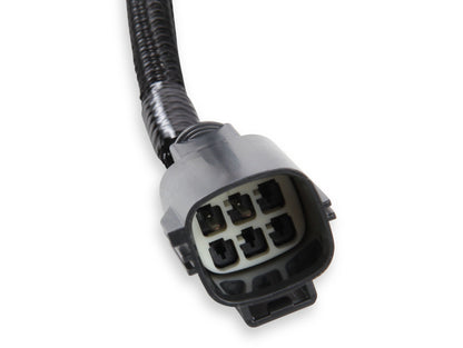 Holley EFI GEN III HEMI VVT and SRV Harness - Use with Terminator X or Terminator X Max Only