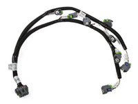 INJECTOR HARNESS, V8 EVENLY SPACED USCAR - Gen III HEMI V8 Injector Harness - Stock/USCAR style injectors