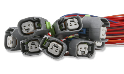 Faisceau d'injecteurs non terminé EV6 - Kit de faisceau d'injecteurs Holley EFI EV6 non terminé