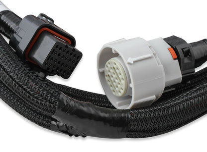 GM 4L60 (FØR 2009) OG 4L80 GEARKASSEKABELET - Holley EFI Transmission Control Harness - GM 4L60 (Før 2009) og 4L80