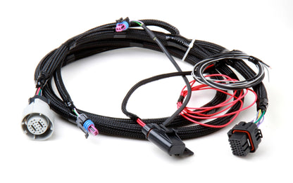 GM 4L60 (FØR 2009) OG 4L80 GEARKASSEKABELET - Holley EFI Transmission Control Harness - GM 4L60 (Før 2009) og 4L80