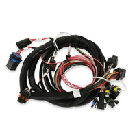 HARNESS, TERMINATOR MAIN - Terminator Main Harness
