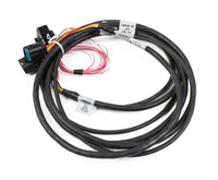 HEMI DBW HARNESS, LATE MOLEX - Gen III HEMI Drive-By-Wire Harness - Late Pedal
