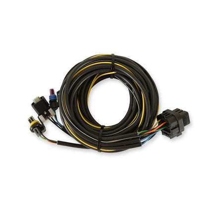 Holley EFI Digital Dash Vehicle Harness - Terminated