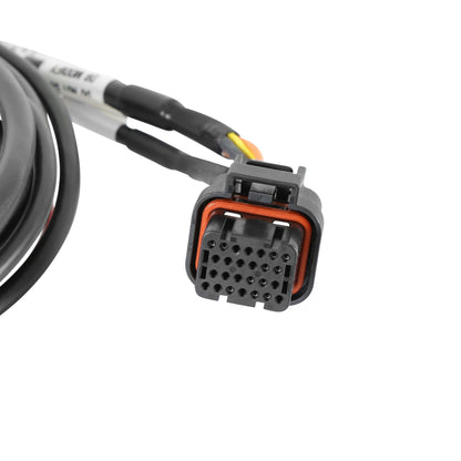 Faisceau de câbles HEMI DBW, applications 2013+ - Faisceau de câbles pour corps de papillon Hemi à commande électronique