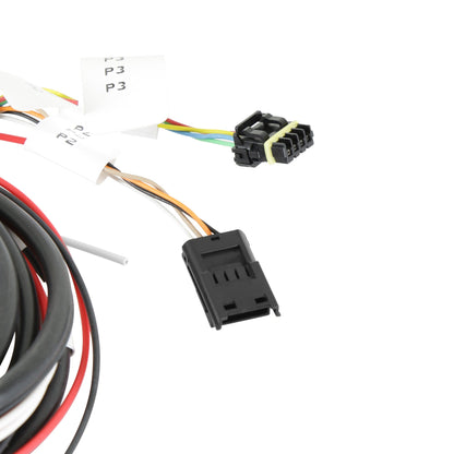 Faisceau de service professionnel pour tableau de bord - Holley EFI Pro Dash Service Harness
