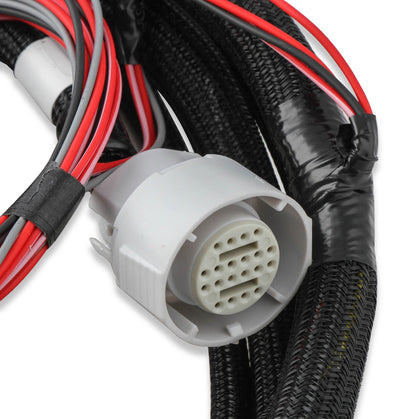 Faisceau de commande de transmission Holley EFI pour GM 4L60 (2009+)