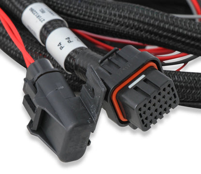 Faisceau de commande de transmission Holley EFI pour GM 4L60 (2009+)