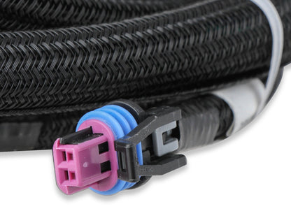 Faisceau de commande de transmission Holley EFI pour GM 4L60 (2009+)