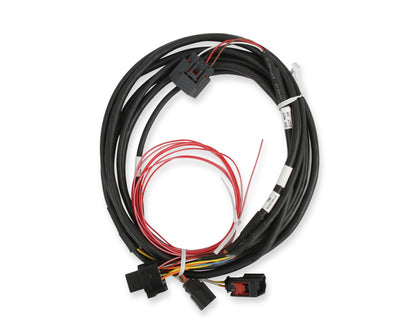 DBW LEDNINGSLENE, FORD 3V OG GT500 - Holley EFI Ford GT500 og 3V Drive-by-Wire Gasspjældsledningsnet