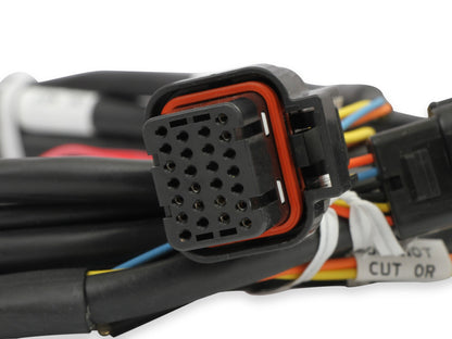 DBW LEDNINGSLENE, FORD 3V OG GT500 - Holley EFI Ford GT500 og 3V Drive-by-Wire Gasspjældsledningsnet