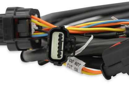 DBW LEDNINGSLENE, FORD 3V OG GT500 - Holley EFI Ford GT500 og 3V Drive-by-Wire Gasspjældsledningsnet