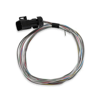 TERMINATOR X INPUT/OUTPUT HARNESS - Terminator X Input/Output Harness