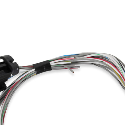 Faisceau d'entrée/sortie Terminator X - Faisceau d'entrée/sortie Terminator X