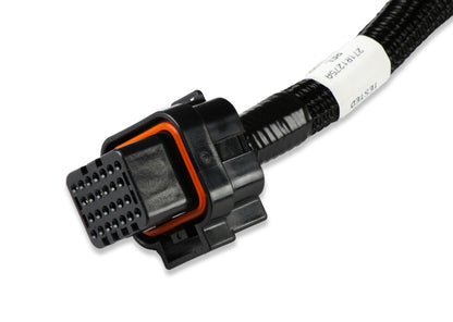 Faisceau de câbles pour transmission Chrysler 46/47/48RE - Faisceau de commande de transmission Holley EFI - Chrysler 46RE (1996-2003)