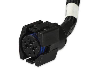 Faisceau de câbles pour transmission Chrysler 46/47/48RE - Faisceau de commande de transmission Holley EFI - Chrysler 46RE (1996-2003)