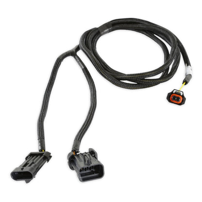 Holley EFI GM PWM Alternator Harness