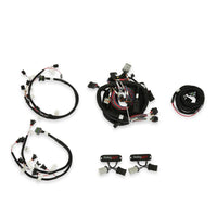 HARNESS KIT, FORD MODULAR 2V - Ford Modular 2 Valve EFI Harness Kit