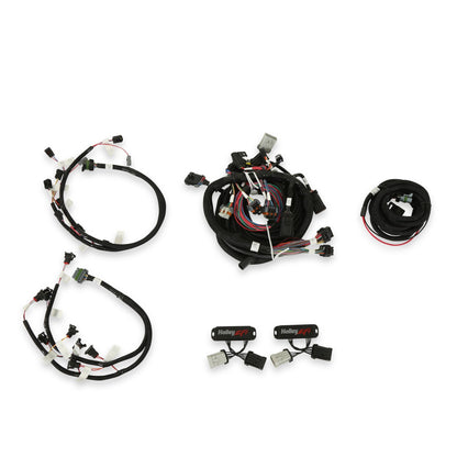 Holley EFI Ford Modular 2 Valve EFI Harness Kit