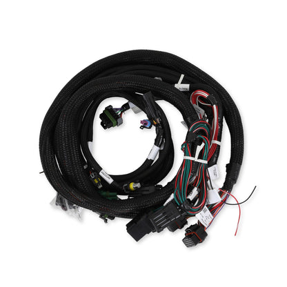 Kit de faisceau Holley EFI pour Ford Foxbody 5.0L V8 avec TFI