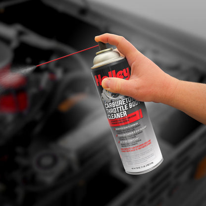 HOLLEY Carburetor & Throttle Body Cleaner Spray, 18oz Can - Photo - out of package