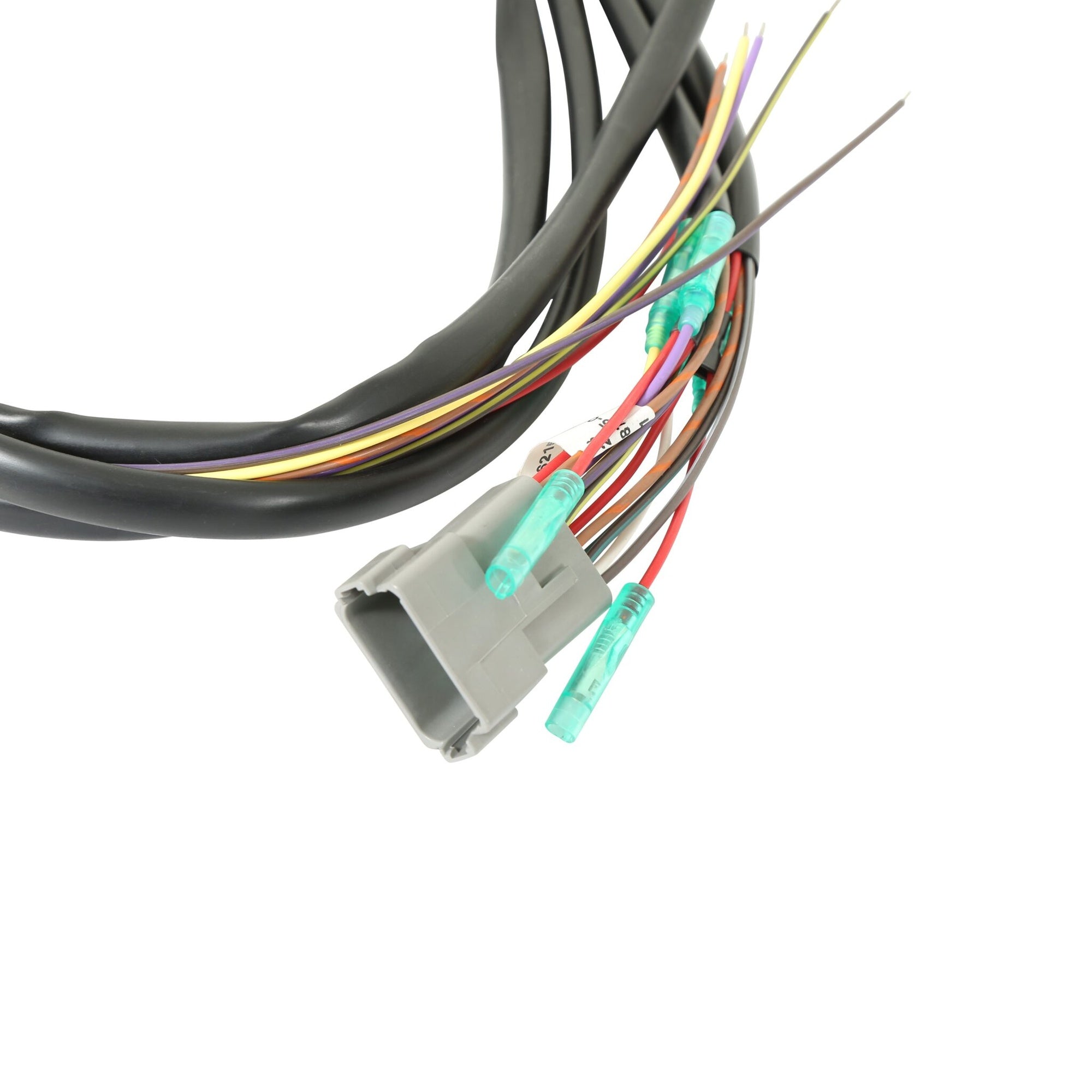 MSD DIS-4 Plus Distributorless 4-Channel - Photo - out of package Left