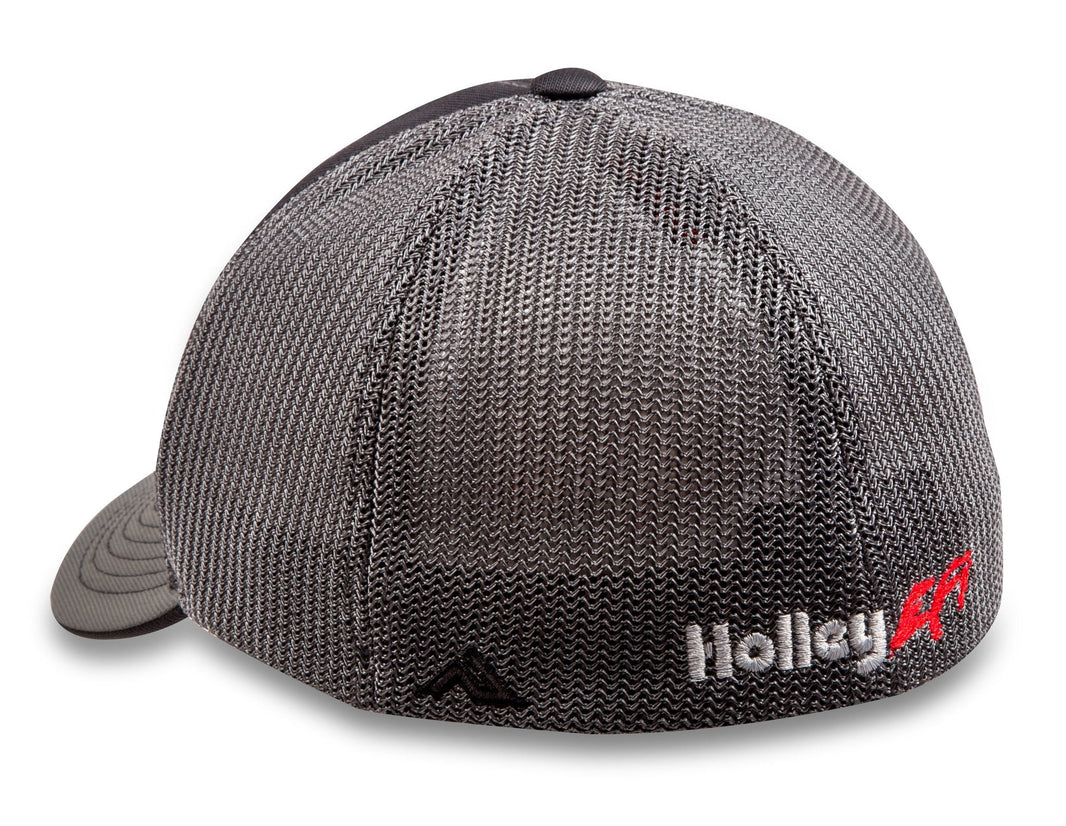 Holley EFI 10135-SMHOL primary image