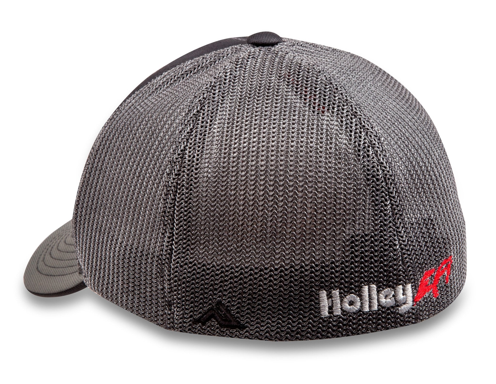 Holley EFI 10135-SMHOL primary image