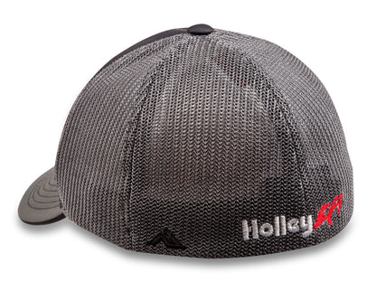 Holley EFI 10135-SMHOL primary image