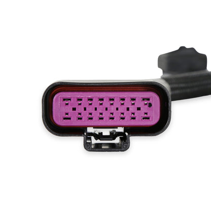 SNIPER 2 HOVEDLEDNINGSLENE MED BRÆNDSTOFPUMPERELÆ - Sniper 2 EFI Hovedledningsnet