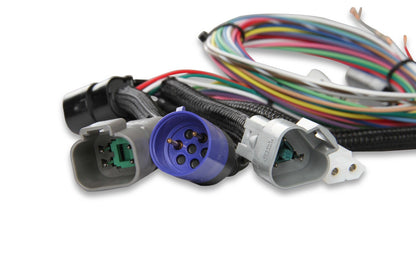 MSD  Power Grid System - Controller Only - Black - Photo - out of package Bottom